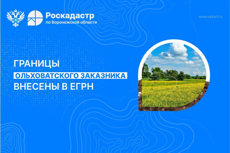 Филиал ППК «Роскадастр» по Воронежской области. Филиал ППК «Роскадастр» по Воронежской области.
